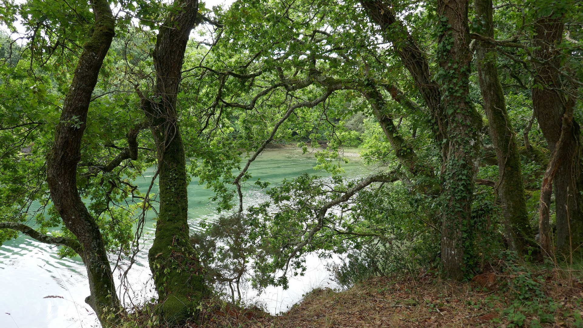 Aven river - Pouldon creek