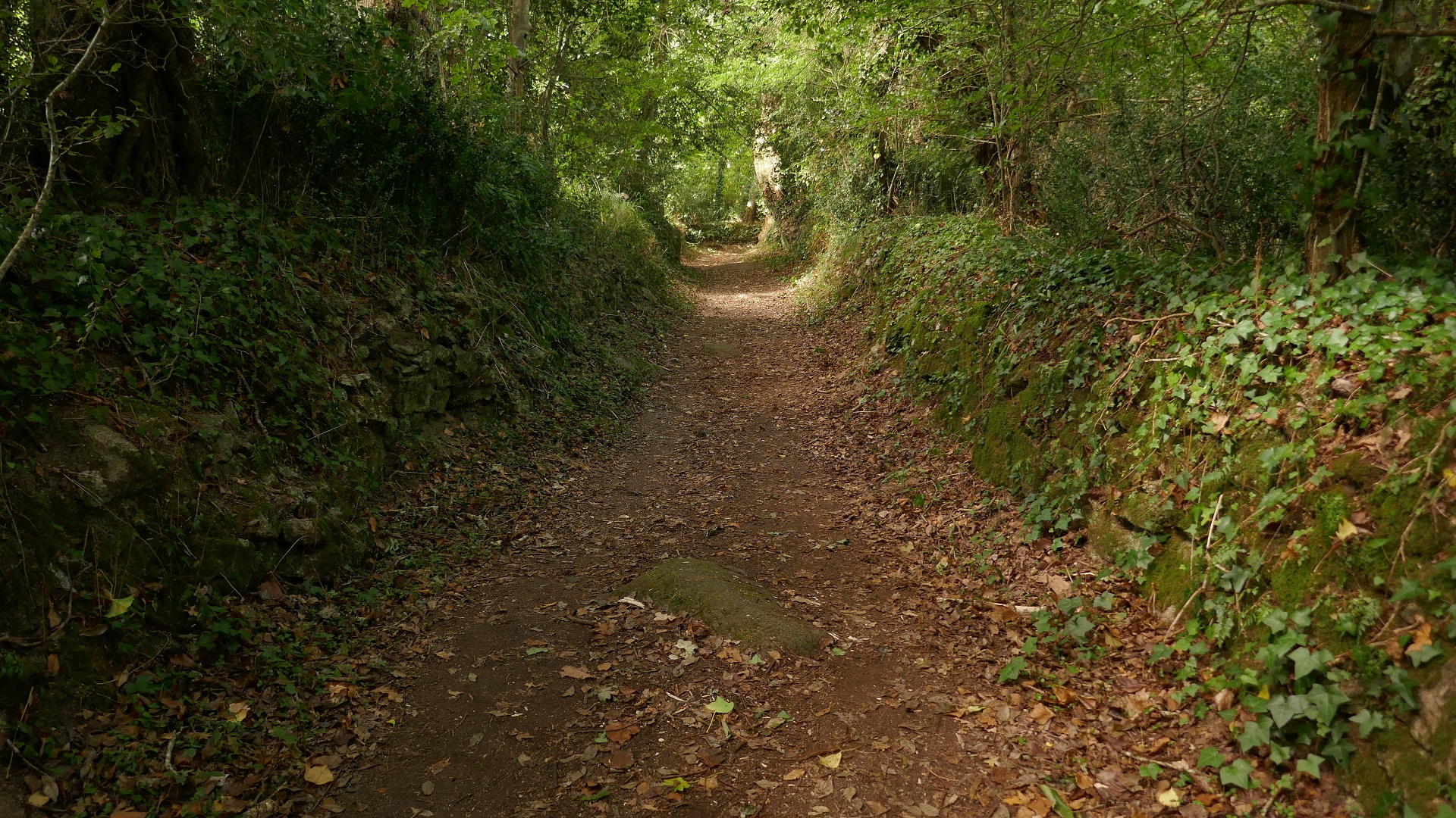 Path along the river